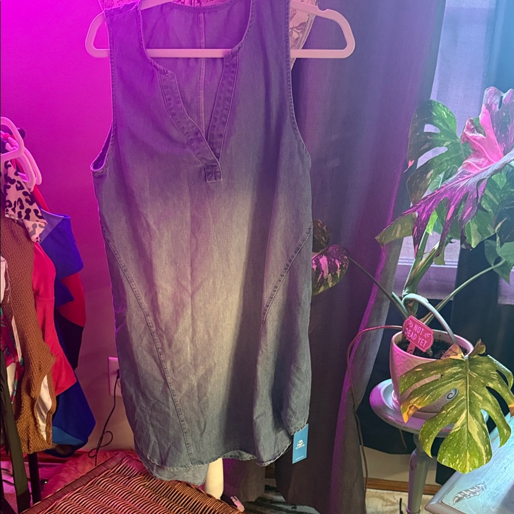 Denim Sleeveless Top